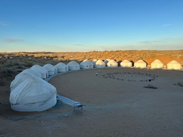 The circle of white yurts seen from the dune above in low evening sun