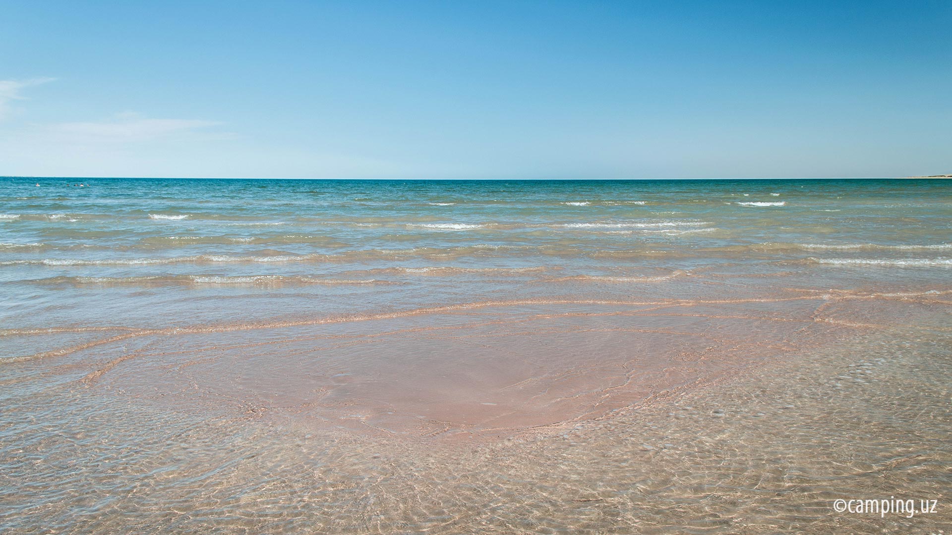 Aydarkul lake. Uzbekistan
