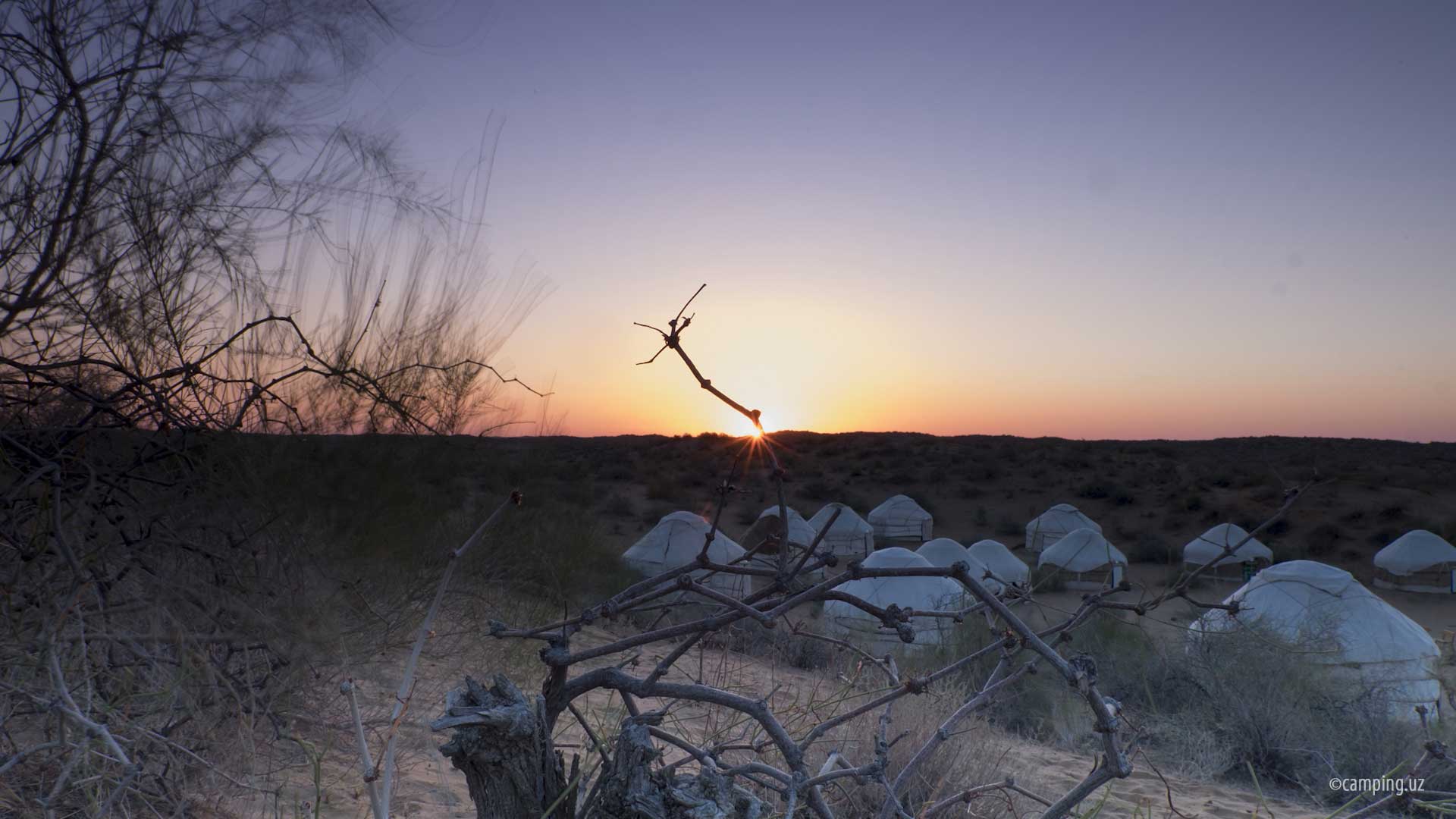 Yurt camp Sputnik Navoi. Yurt camp in Uzbekistan